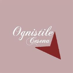 Ognistile le parrucchiere