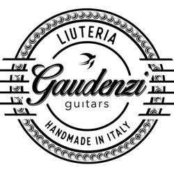Gaudenzi Guitars