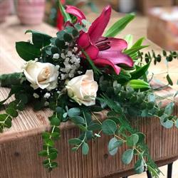 Fiori e Piante Meniconi