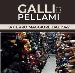 Galli Pellami e articoli per calzature