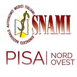 SNAMI