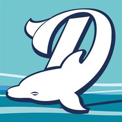Dolphin Beauty Center
