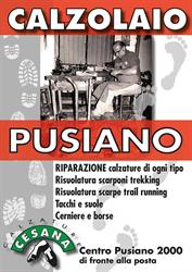 Calzolaio a Pusiano