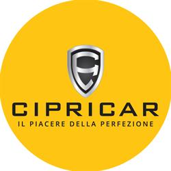 CipriCar Group S.A.S