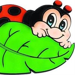 La coccinella