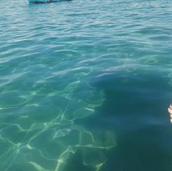 Viva Vacanze Casa Vacanze Porto Cesareo