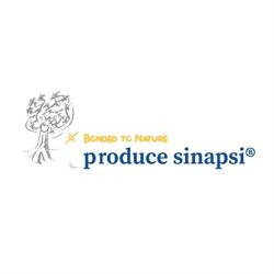 Produce Sinapsi S.r.l.