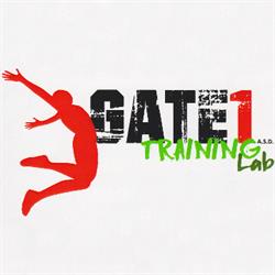Gate 1 Training Lab