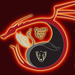 Kung fu, Recanati. ASD Wuxing Traditional kung fu Recanati