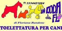 In Coda Da Flo