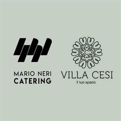 Villa Cesi