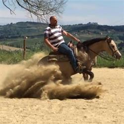 Centro Equestre Bellavista ASD