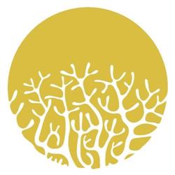 BelCoral