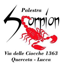 Palestra New Scorpion