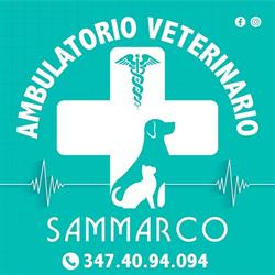 Ambulatorio Veterinario Sammarco