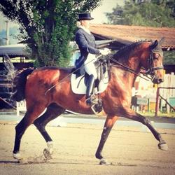 ASD Garavella Riding Club