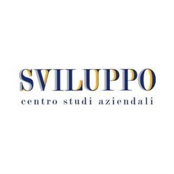 Sviluppo Centro Studi Aziendali