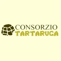 Consorzio Tartaruga