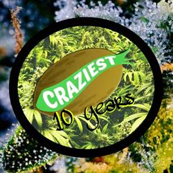 Craziest growshop Torino