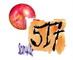 517 San Vito