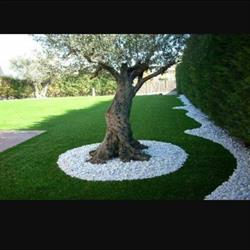 Natura Garden