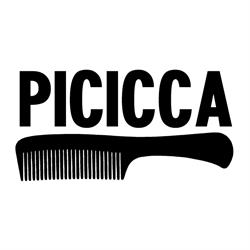 Picicca Dischi, Edizioni, Management, Concerti, Produzioni