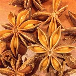 erboristeria AniceStellato