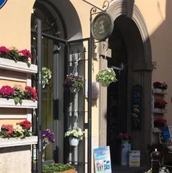Erboristeria L'angolo verde