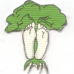 angolo natura 3