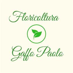 Gaffo Paolo vivaio creazione e manutenzione giardini, floricoltura