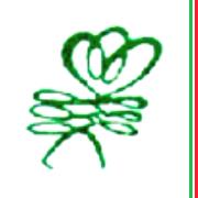Fiori Secchi Caruso