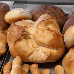 Forno Pane e Delizie