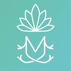 Mandragola S.r.l.