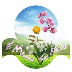 Il Mondo Dei Fiori