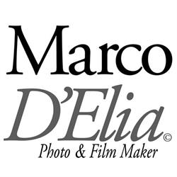 Marco D'Elia Photography