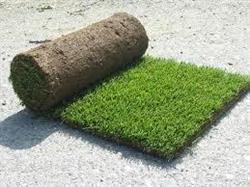 Non Solo Verde - Prato a rotoli e Servizi di Giardinaggio