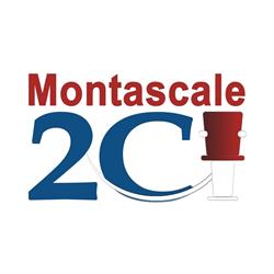Montascale2C Piemonte