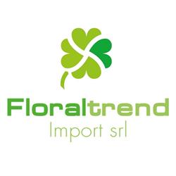 Floraltrend Import srl