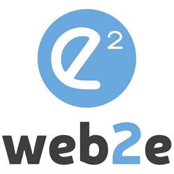 Web2e - Strategie per il web