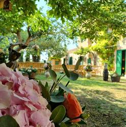 FIORI E DINTORNI