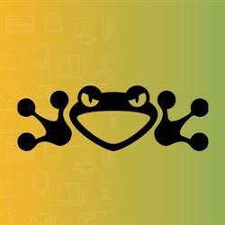 Frogbyte LAN party