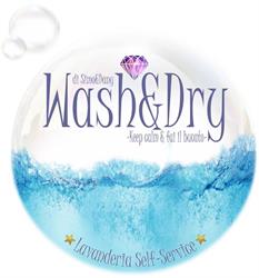 WASH & DRY S.N.C. DI RIBONE SIMONETTA E RIBONE DANIELA