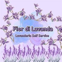 Fior Di Lavanda Lavanderia