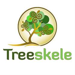 Treeskele - Studio Multidisciplinare (Infanzia-Adolescenza-Adulti)