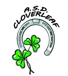 Asd Cloverleaf