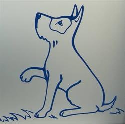Croce Azzurra - Ambulatorio Veterinario
