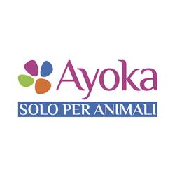 Ayoka - Caserta