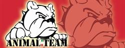 Animal Team