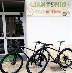 Liantonio bike motors