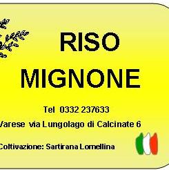 Riso Mignone